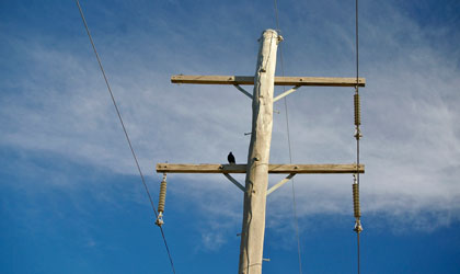 power line installation